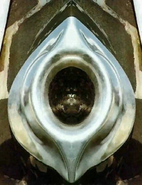 Black stone which is kissed by people on hajj 2718340 f520 480x624 Black stone which is kissed by people on hajj