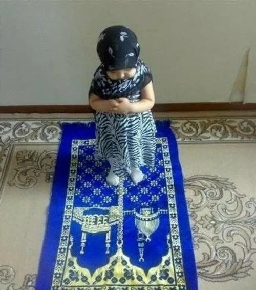 mashalsaeed1882665 A Cute muslim baby girl praying 
