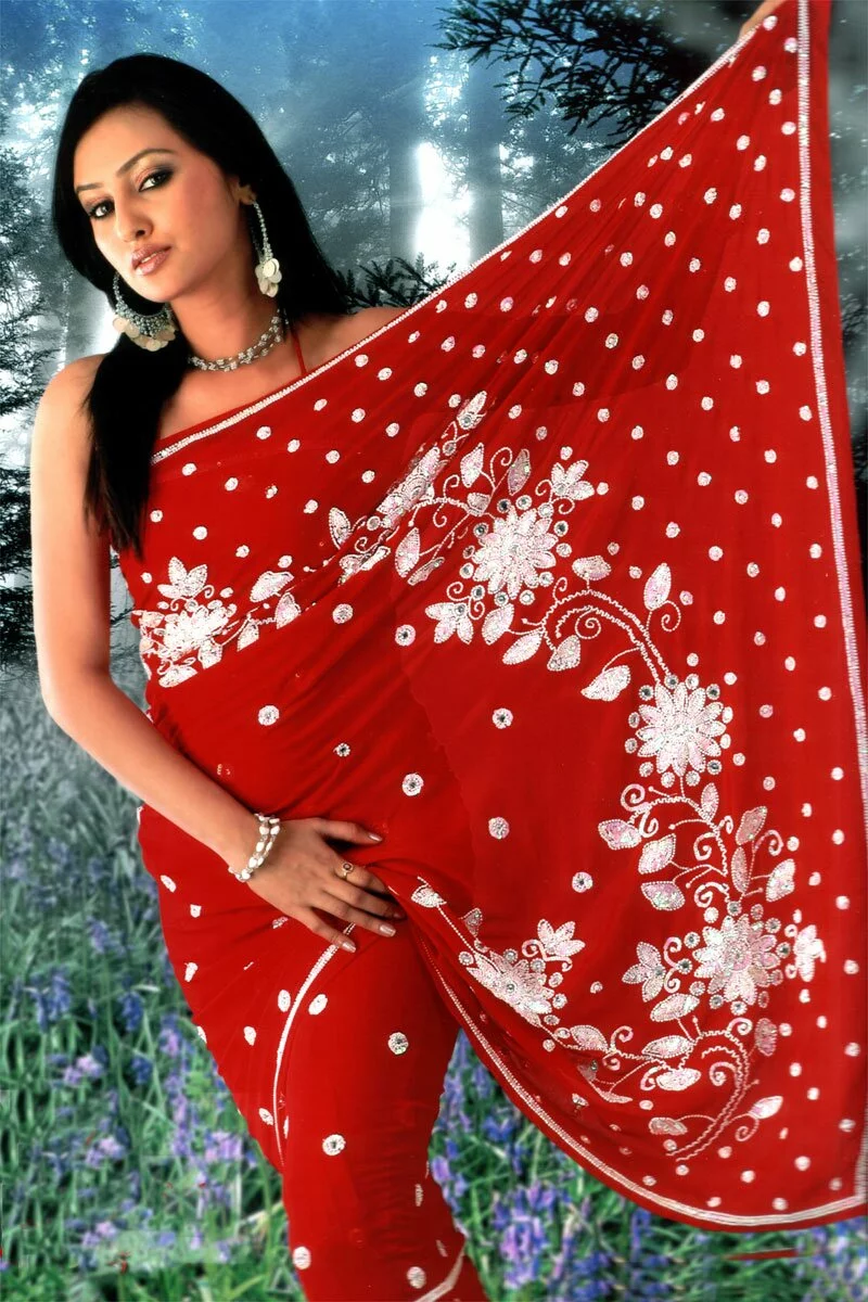 Beautiful Indian Bengali bridal saree Beautiful indian bengali bridal saree Beautiful Indian Bengali bridal saree
