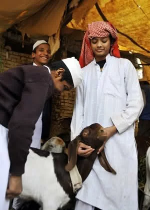 Muslims in India celebrated the traditional Islamic feast of Eid al Adha Children look at sheep for sacrifice at a mosque in New Delhi capital of India Muslims in India celebrated the traditional Islamic feast of Eid al Adha