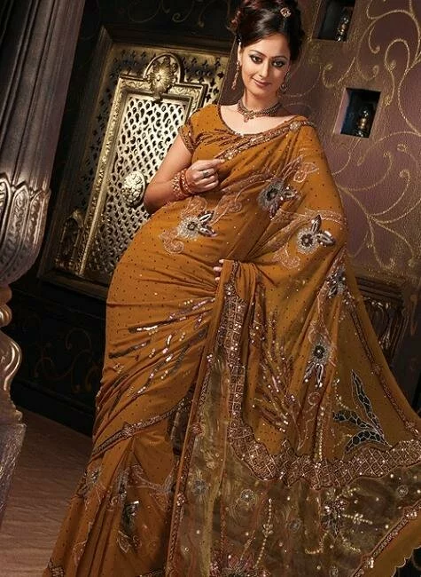 Latest beautiful Indian bridal and all type saree for womens Latest beautiful Indian Bridal saree for womens image 3 by Muslimblog.co .in Latest beautiful Indian bridal and all type saree for womens