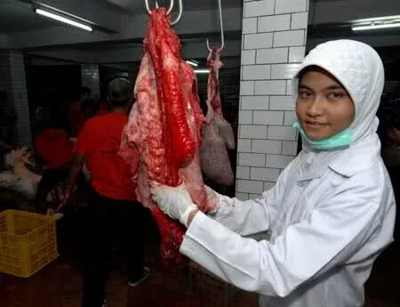 Muslims in India celebrated the traditional Islamic feast of Eid al Adha festival of Eid al Adha in Jakarta Indonesia muslims Muslims in India celebrated the traditional Islamic feast of Eid al Adha