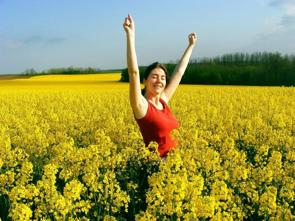 girl in yellow flowers garden 1024x768 Beautiful and cute flowers girl new photo galley
