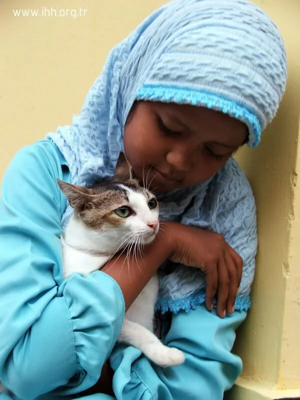 Muslim girl with cat Some female Muslim children wear a headscarf from a very young age World Muslim Womens Dress And Hijab Styel
