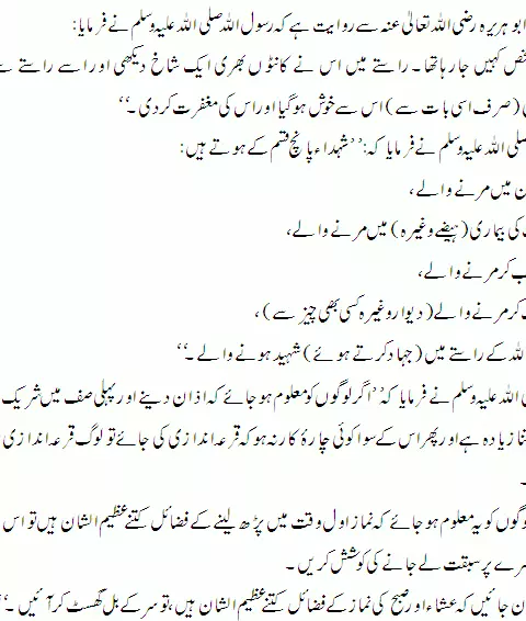 Five types of Martyrs sahih bukhari hadith620 480x566 Five types of Martyrs