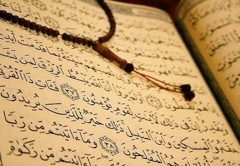 Embryology in the quraan and the scientific view Quran text 480x333 Embryology in the quraan and the scientific view