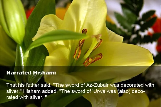 The Boy Who Raised First Sword for the Cause of Allah – Zubair Bin Ul Awam (RA) Zubair Bin Ul Awam The Boy Who Raised First Sword for the Cause of Allah – Zubair Bin Ul Awam (RA)