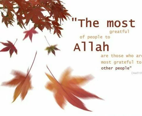 What is the Reality of dreams according to Islam hadith 480x390 What is the Reality of dreams according to Islam