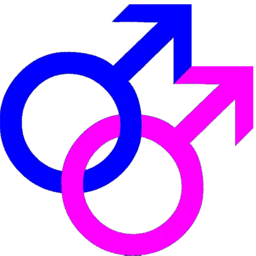 Freedom of Choice Is Gay & Lesbian culture supported by Islam Gay sign Freedom of Choice Is Gay & Lesbian culture supported by Islam
