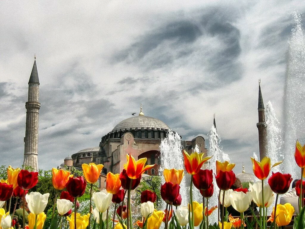 Istanbul Mosque with flower – Islamic Wallpaper