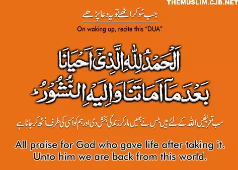 222 Islamic Duas for all occasions 