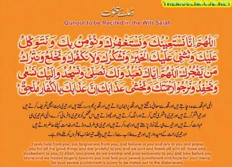 231 Islamic Duas for all occasions 