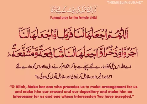 555 Islamic Duas for all occasions 