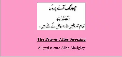 561 Islamic Duas for all occasions 