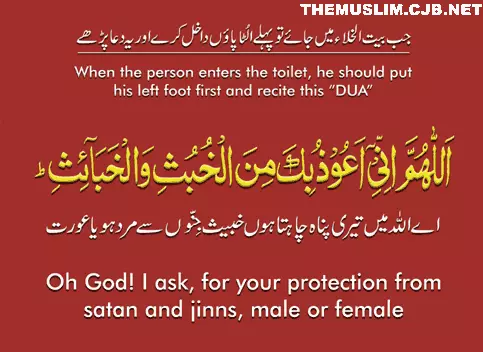 7771 Islamic Duas for all occasions 
