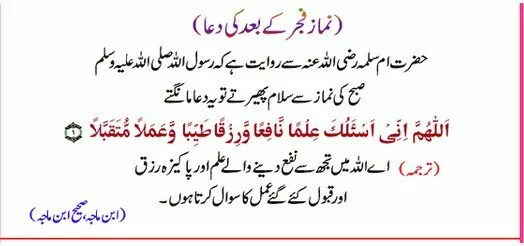 99 Islamic Duas for all occasions 