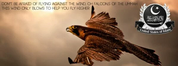 Dont be afraid of flying against the wind Facebook Covers Falcon 600x222 Dont be afraid of flying against the wind Facebook Covers