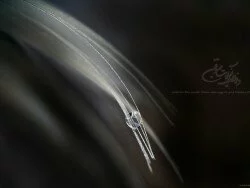 Qurani Background Qurani Background