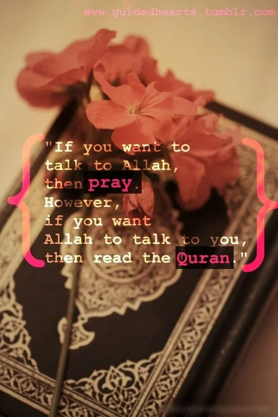 islamic quotes Check out my friends islamic quotes